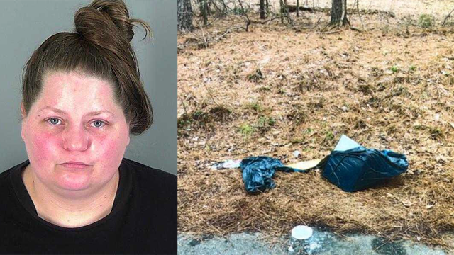 South Carolina woman arrested for leaving bag of puppies by road - Vimarsana News