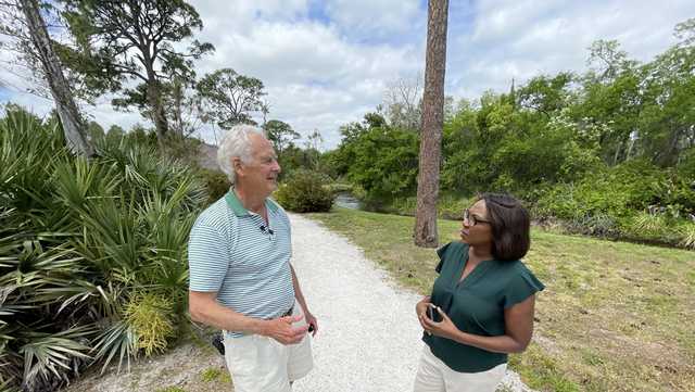 Martin County voters will decide on half cent sales tax to buy wetlands in Florida - Vimarsana News