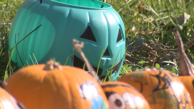 Teal Pumpkin Project aims to make trick-or-treating more inclusive - Vimarsana News
