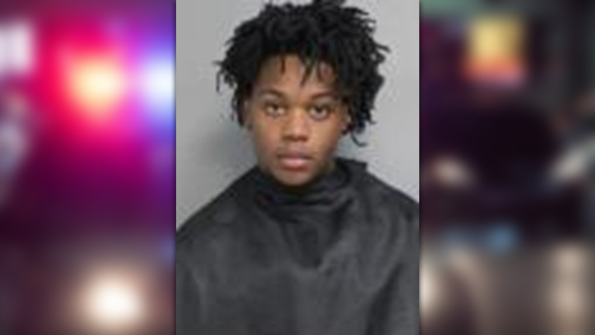 Teen arrested after high-speed pursuit ends in crash - WYFF