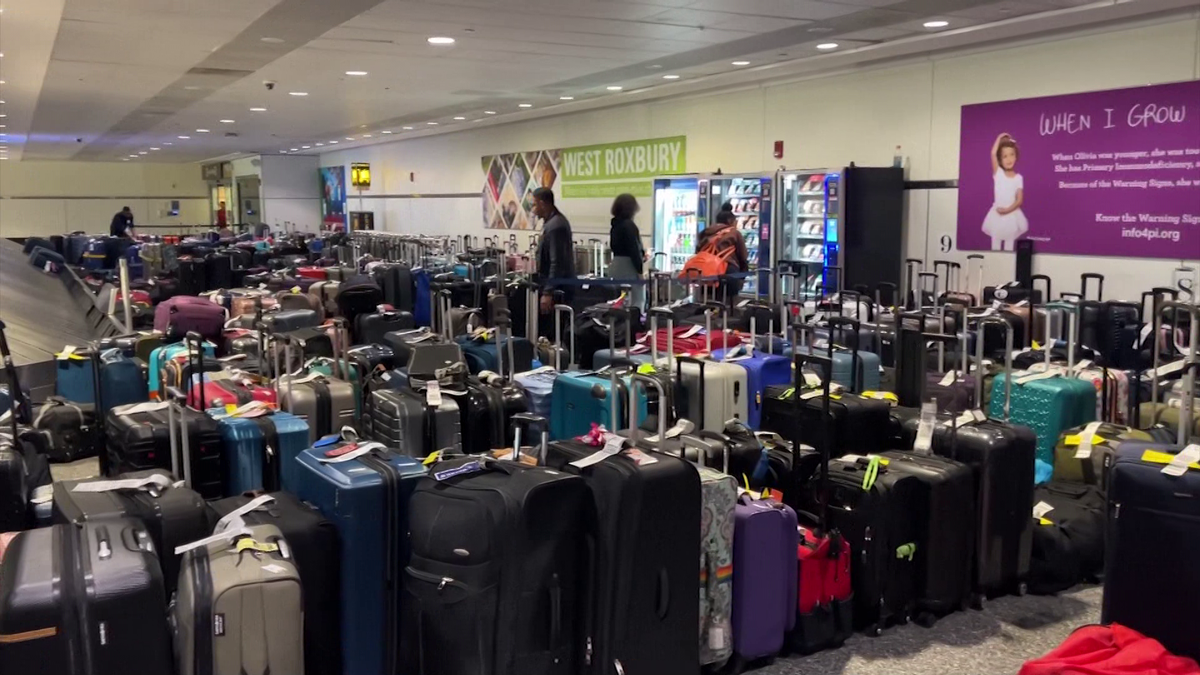 Sea of luggage in Logan whilst service struggles to recuperate after IT meltdown