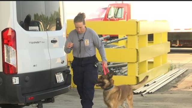 Ohio Task Force 1 K-9 teams leave for Hawaii to assist with recovery efforts - Vimarsana News