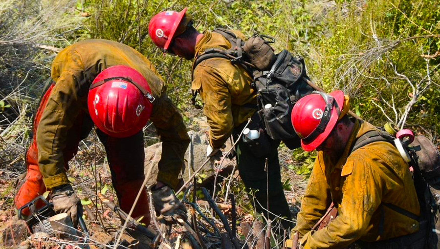 in this photo provided by the california interagency willow fire incident, firefighters work in steep terrain at the willow fire near big sur, calif., on sunday, june 20, 2021. dozens of wildfires were burning in hot, dry conditions across the u.s. west. in california, firefighters still faced the difficult task of trying to contain a large forest fire in rugged coastal mountains south of big sur that forced the evacuation of a buddhist monastery and nearby campground. (california interagency willow fire incident via ap)