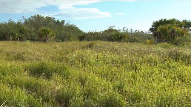 Palm Bay residents concerned about crimes at The Compound - Vimarsana News