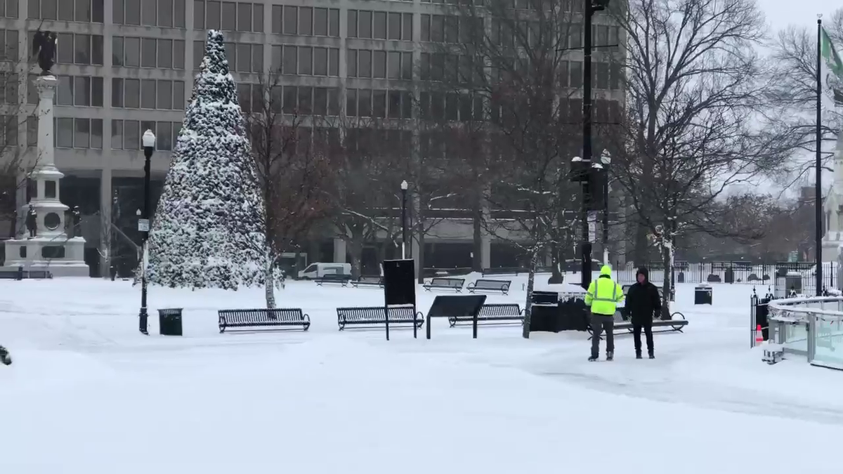 Here's why a Christmas tree returned to downtown Worcester