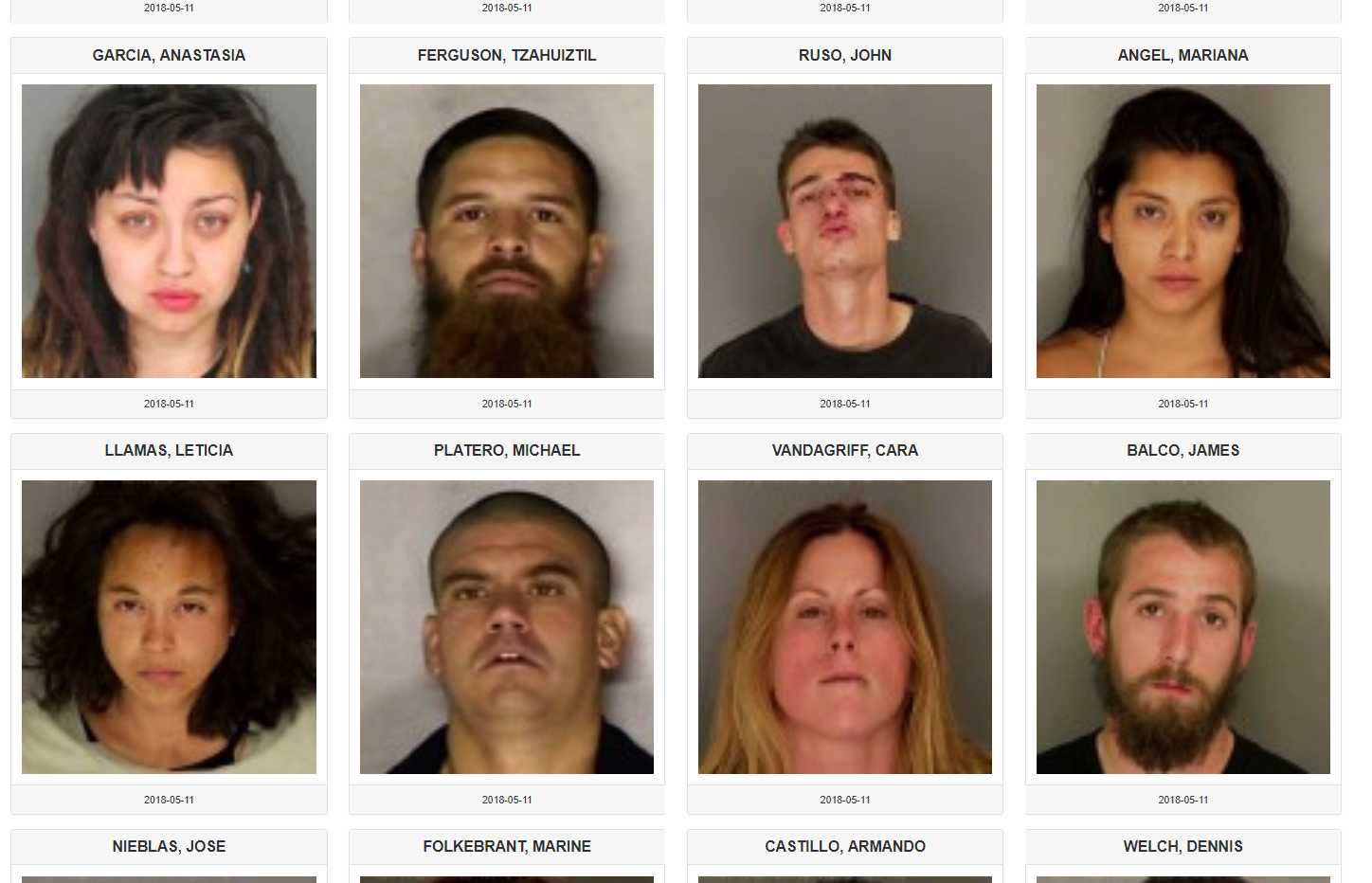 Humiliating mug shot website targeted by state investigators