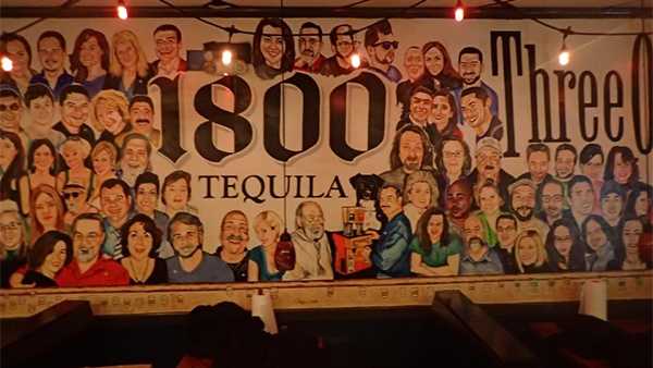 the back door wall mural