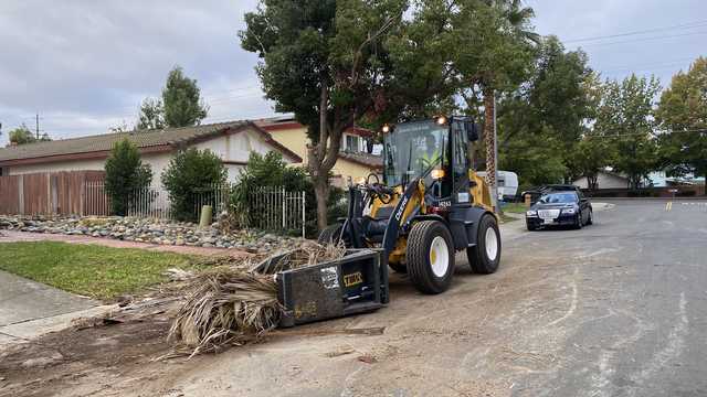 Return of 'The Claw' kicks off leaf season in Sacramento. Here's what to know - Vimarsana News