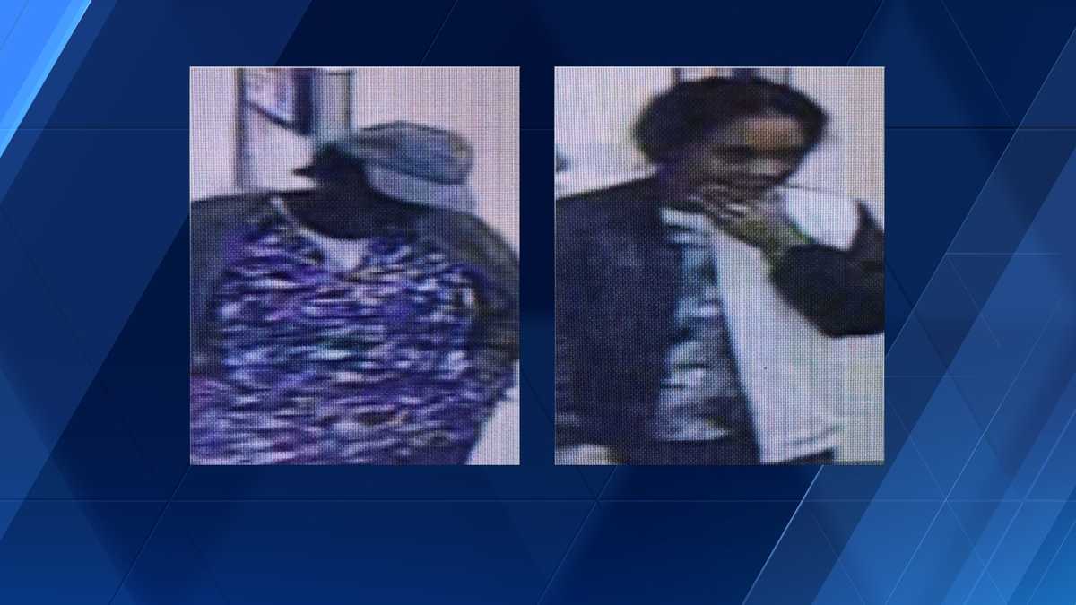 Police request your help in identifying two theft suspects