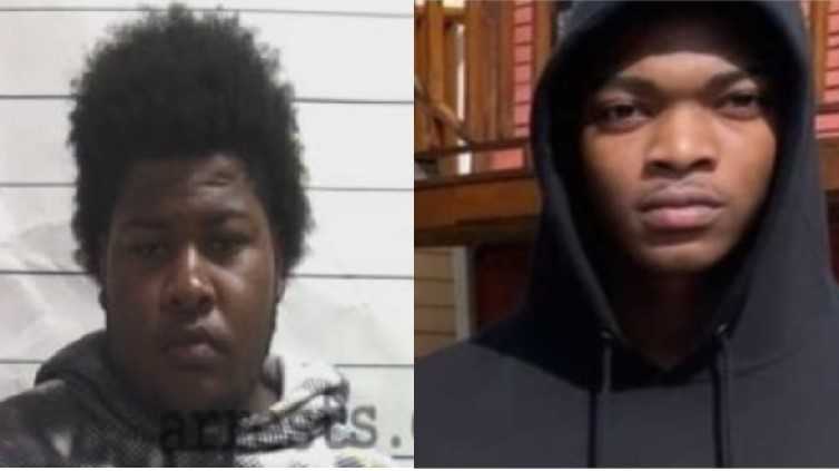 NOPD searching for two men involved in car theft - Vimarsana News