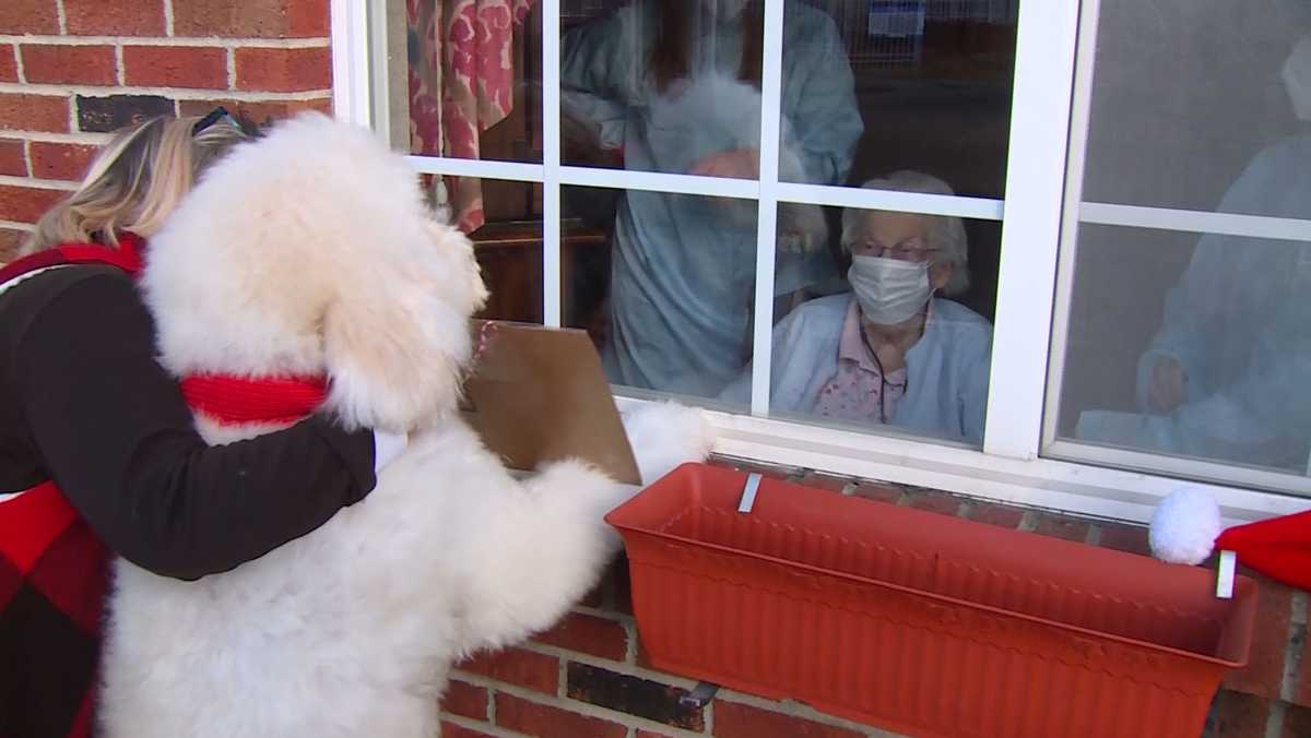 Therapy dog brings Christmas cheer to Colerain nursing home's windows