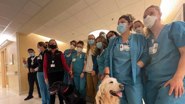 Therapy dogs return to CHOMP after stopping for the pandemic - Vimarsana News