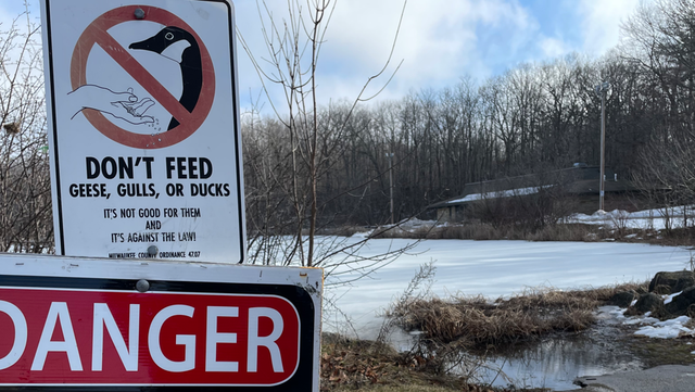 Warm weather creates thin ice for anglers in Wisconsin - Vimarsana News