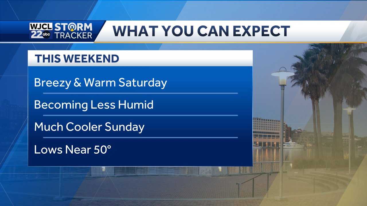 Savannah: Temperature swing arrives this weekend - WJCL