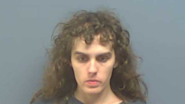 Three Arrested after Shooting at Deputies and Wounding K9 - Vimarsana News