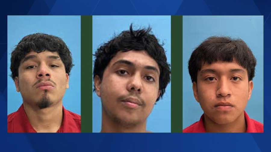 Three teens arrested after being accused of motor vehicle theft in ...