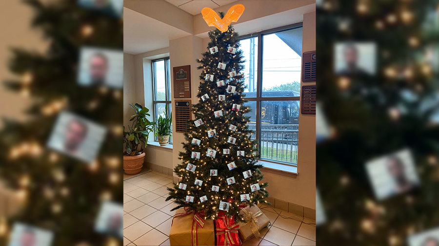 Sheriff's Christmas tree 'thugshots' rub some the wrong way