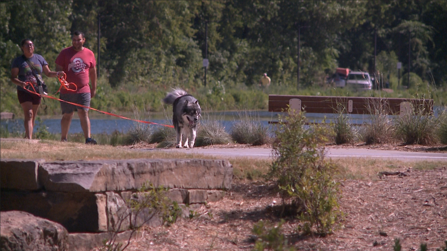 couple walks dog at lake atalanta in rogers