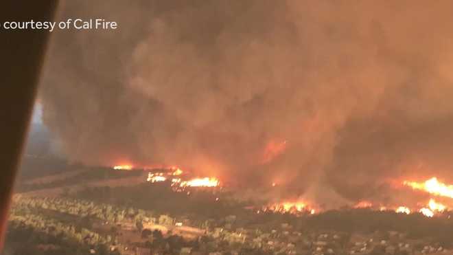 Integumentary system case study worksheet image