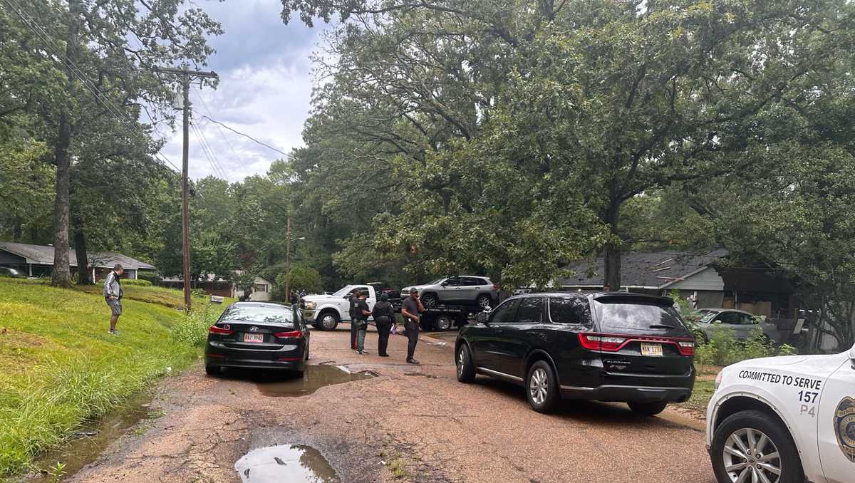 Several stolen vehicles recovered from Jackson home