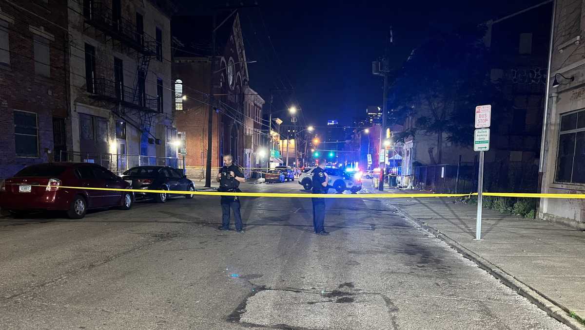 Woman critically injured after being shot in head