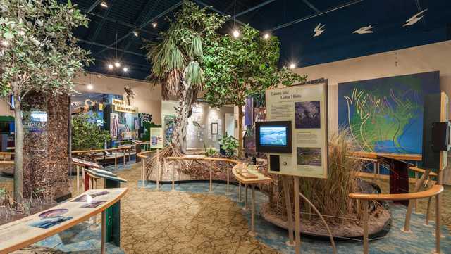 'Ding' Darling Visitor and Education Center reopens - Vimarsana News