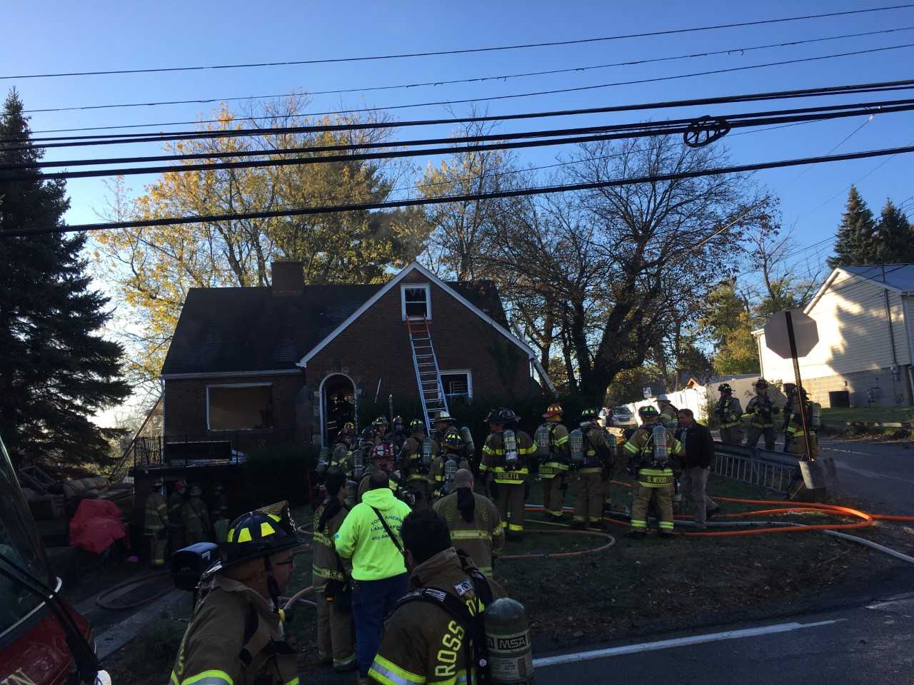 Family's Dog Rescued From Shaler Township House Fire