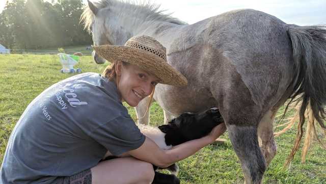 Mother's Day surprise at Longshot Stables - Vimarsana News