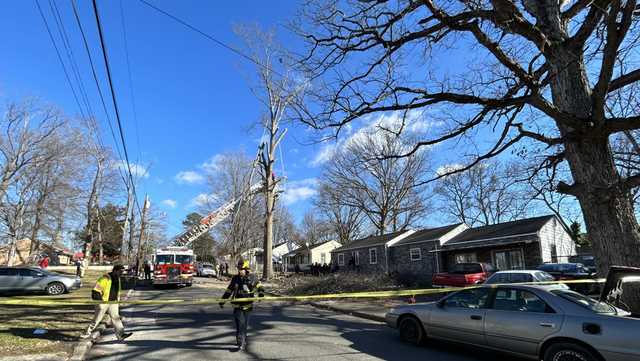 Man killed while working on a tree, EMS said - Vimarsana News