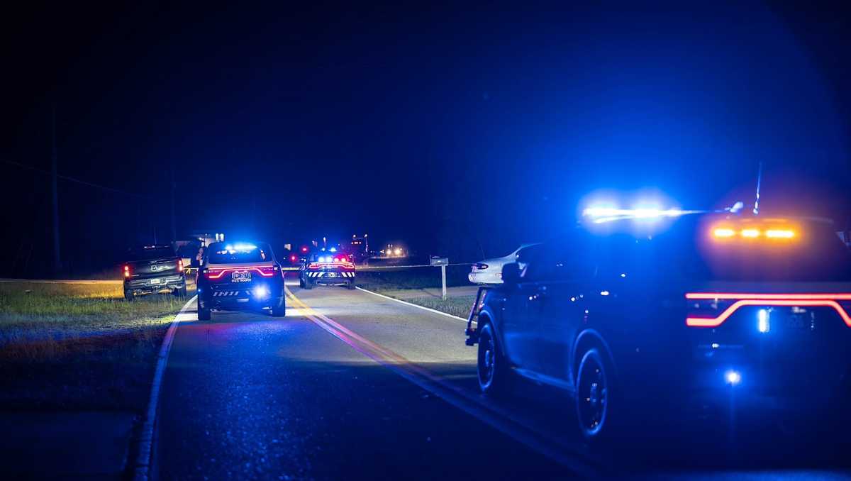 Fatal hit-and-run in Lehigh Acres leaves pedestrian dead - WBBH