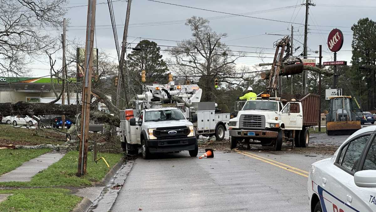 Man killed after tree fell on truck in Talladega