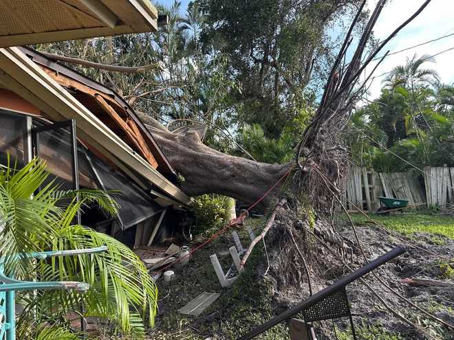 Tree falls on house during Hurricane Milton in Cape Coral