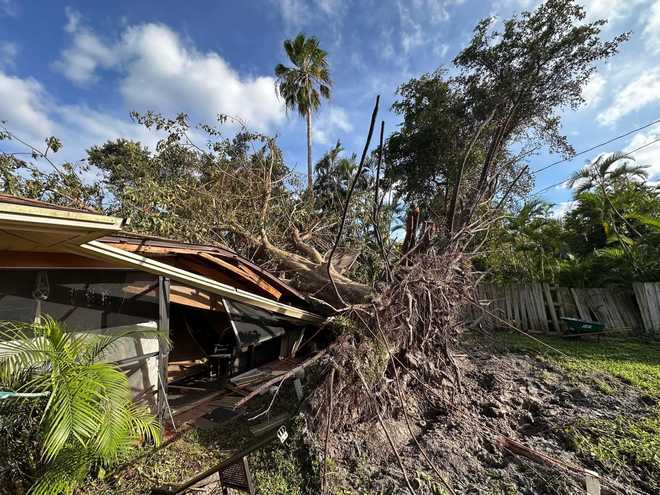 Tree falls on house during Hurricane Milton in Cape Coral