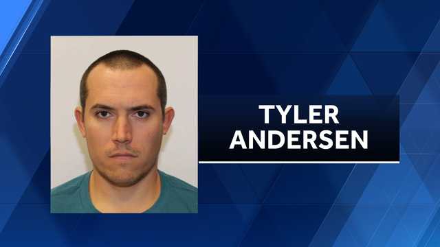 Sheldon resident arrested for shooting explosives in his neighborhood, police say - Vimarsana News