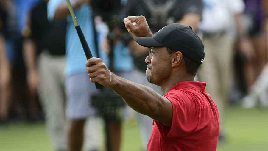 Tiger Woods celebrates on the 18th green after winning the Tour Championship golf tournament Sunday, Sept. 23, 2018, in Atlanta. (AP Photo/John Amis)