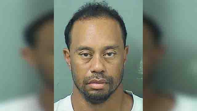 Tiger Woods faces license suspension after refusing urine test