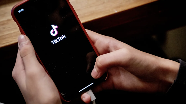 TikTok's recent court victories show just how hard it might be to ban the app - Vimarsana News