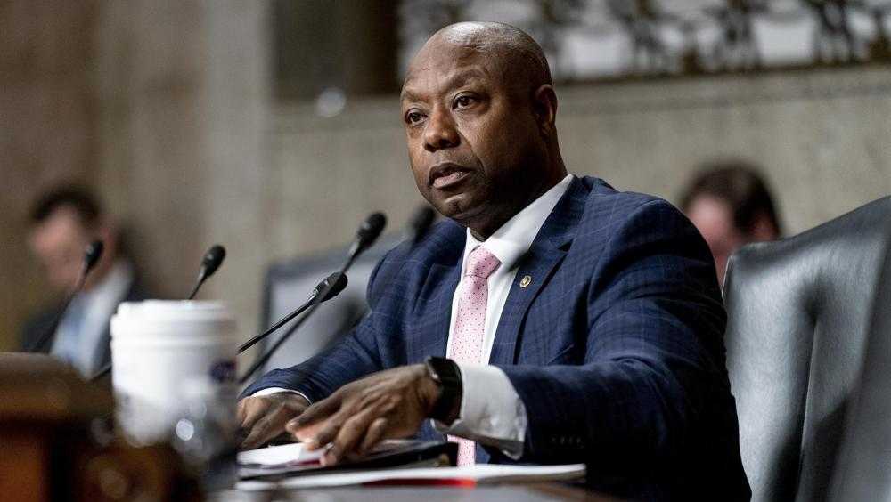 South Carolina Primary: 3 Democratic women run to face U.S. Senator Tim Scott in November South Carolina Primary: 3 Democratic women run to face U.S. Senator Tim Scott in November