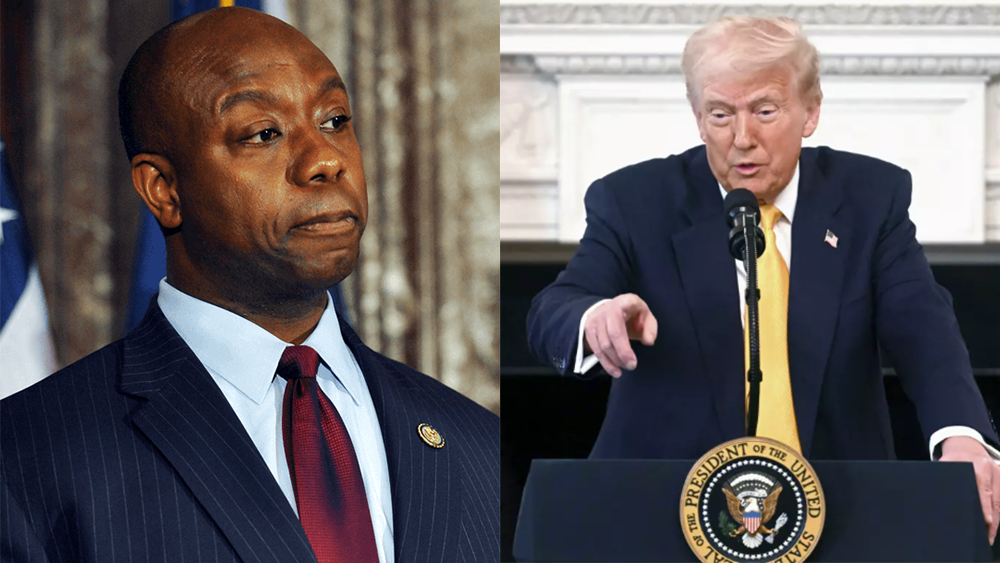 South Carolina Sen. Tim Scott speaks out after Trump shares video depicting the Obamas as primates