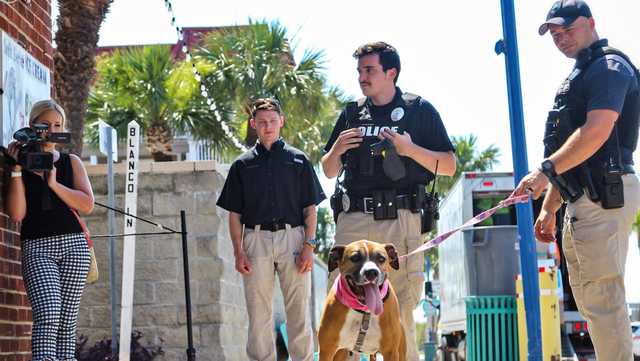 Tybee Island Police hits milestone with K-9 for a Day program - Vimarsana News