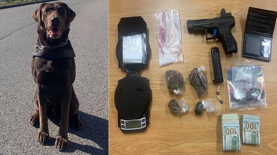 Salinas man arrested after K9 Oakley sniffs out drugs, handgun