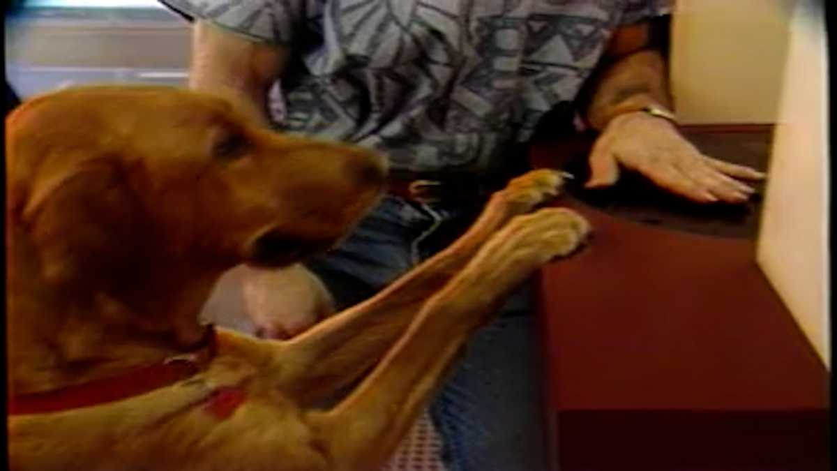 Watch: Omaha dog makes daily bank deposits for her owner's pub in 1986