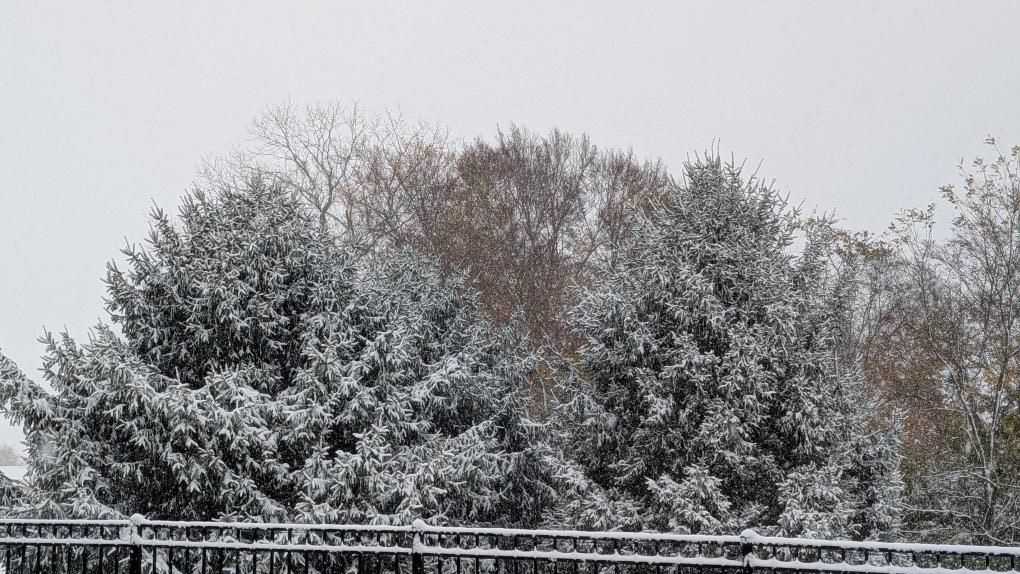 PHOTOS: First snowfall of the season across Greater Cincinnati