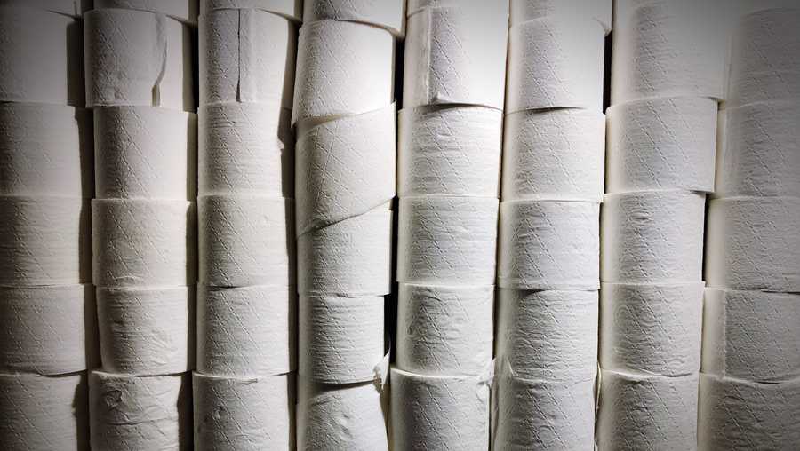 Toilet paper (stock photo)