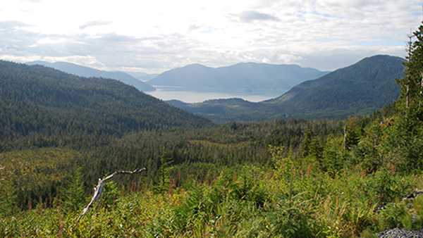 Tongass National Forest, via National Park Service