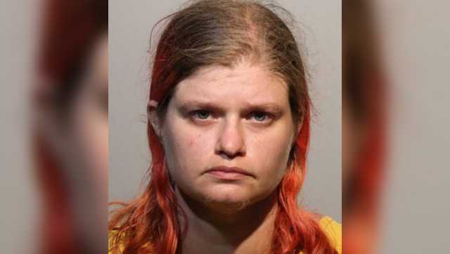 Malnourished dogs, animal remains found at Altamonte Springs home - Vimarsana News
