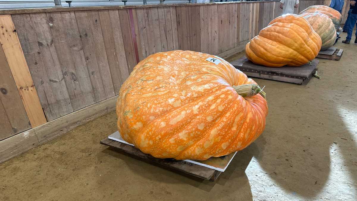 206th Topsfield Fair begins with giant pumpkin weighoff