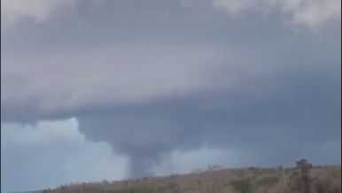 Video shows 'significant' tornado tear through Central Alabama - Vimarsana News