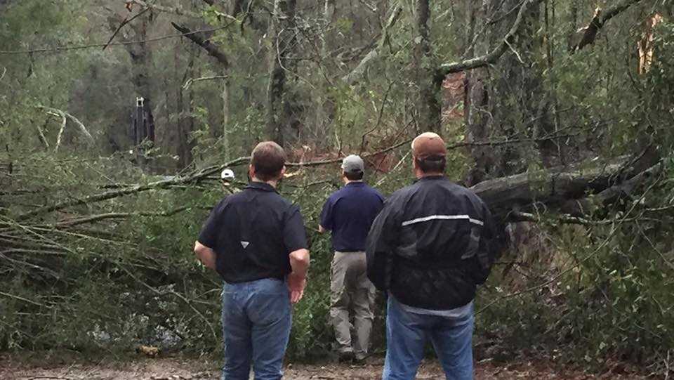 Tornado Information  Tangipahoa Parish Government