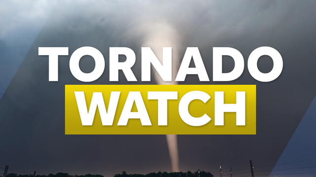 North Carolina Tornado Watch: Real-time storm updates, severe weather alerts, storm damage - Vimarsana News